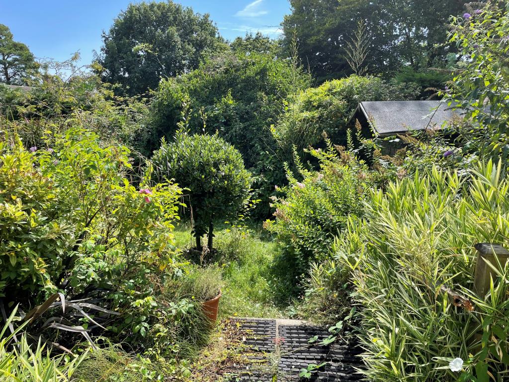 Lot: 128 - DETACHED HOUSE FOR REFURBISHMENT - Rear garden with trees and shed